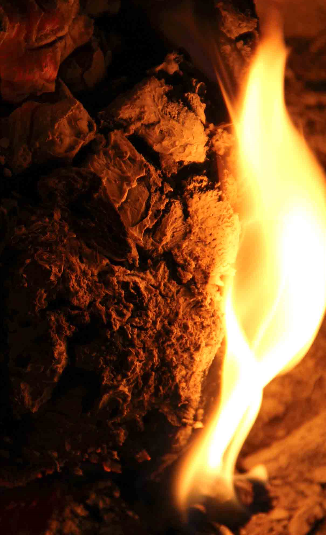 Art Gallery Photo
Fire Collection
By Dapacy