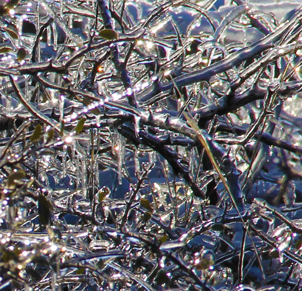 Ice Collection
Photography By DAPACU